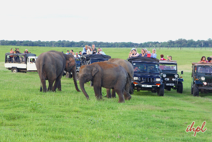 Majestic SriLanka